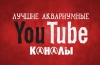 Akváriumi youtube-csatornák: a legjobb a legjobbak közül!