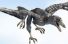 Archeopteryx (lat. Archaeopteryx)