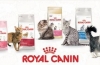 Royal canin macskaeledel választék és összetétel