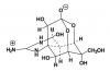 A tetrodotoxin méreg és hatása az emberi szervezetre