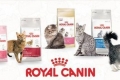 Royal canin macskaeledel választék és összetétel