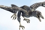 Archeopteryx (lat. Archaeopteryx)