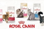 Royal canin macskaeledel választék és összetétel